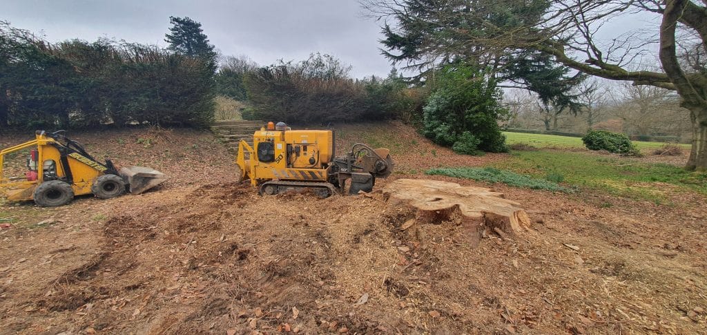 Stump Grinding Sevenoaks