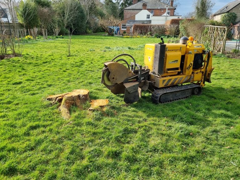 Stump grinding in Kent,