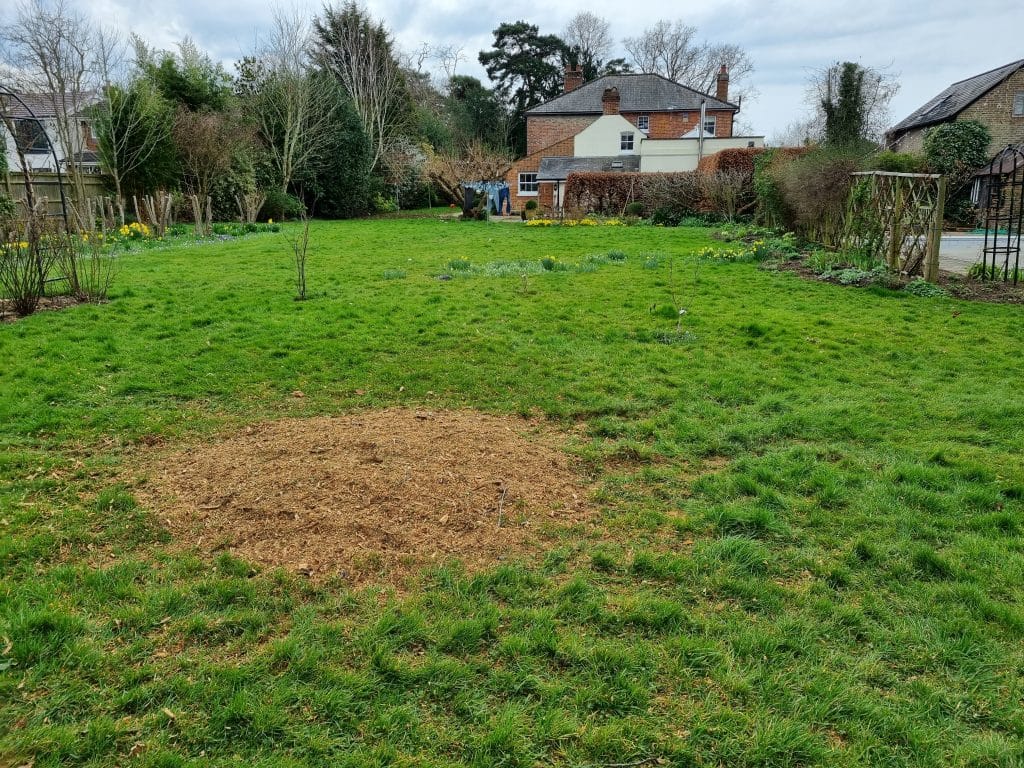 Stump grinding Sevenoaks kent