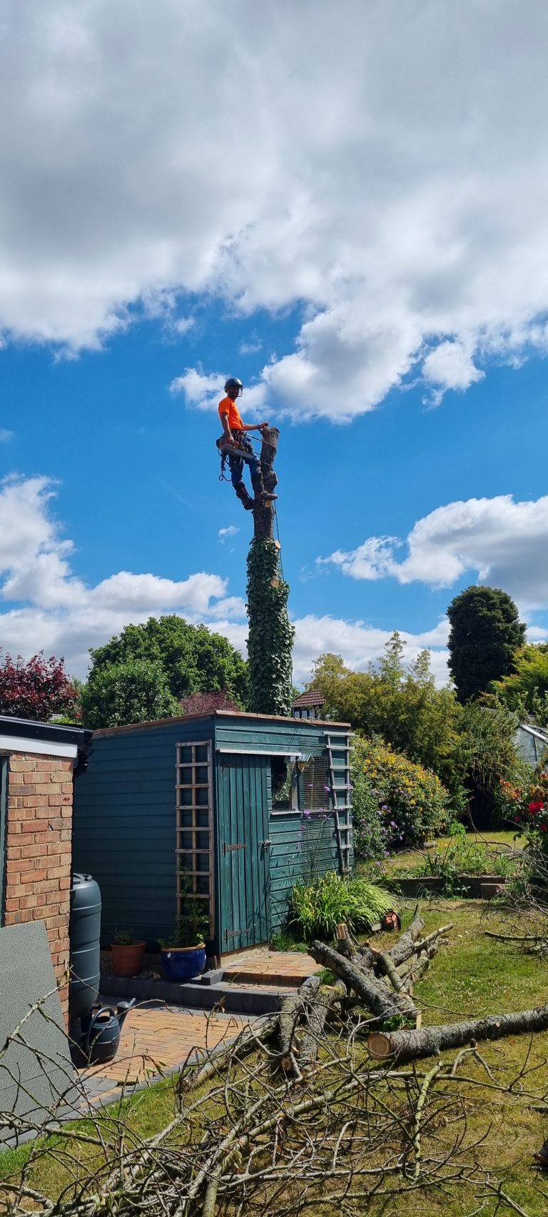 Tree Surgeon in Gravesham