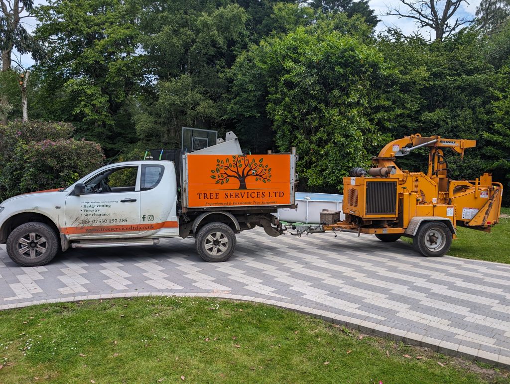 Tree Surgeons in Kent. Tree Services ltd.