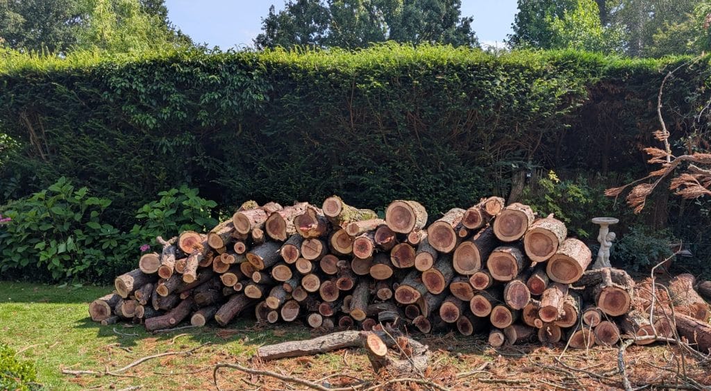 tree surgeon in Tonbridge. Professional tree surgeon
