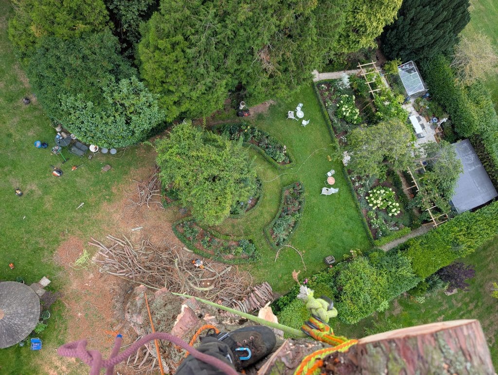 Eucalyptus Removal in Tonbridge 2 View from Eucy Tree Hadlow. view of drop zone with garden adn hedges surrounding