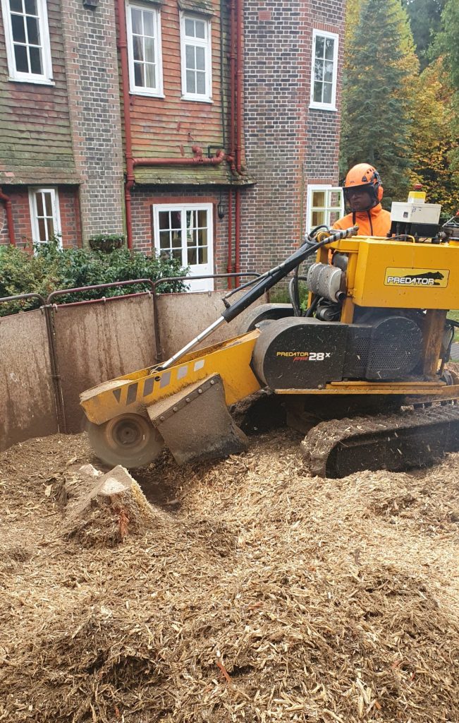 Stump Grinding in Kent. Trusted Tree Services in Kent