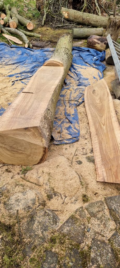 Timber in Kent. Tree surgeon in Kent