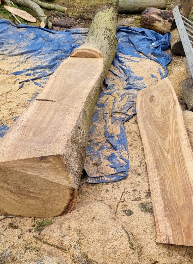 Timber in Kent. Tree surgeon in Kent