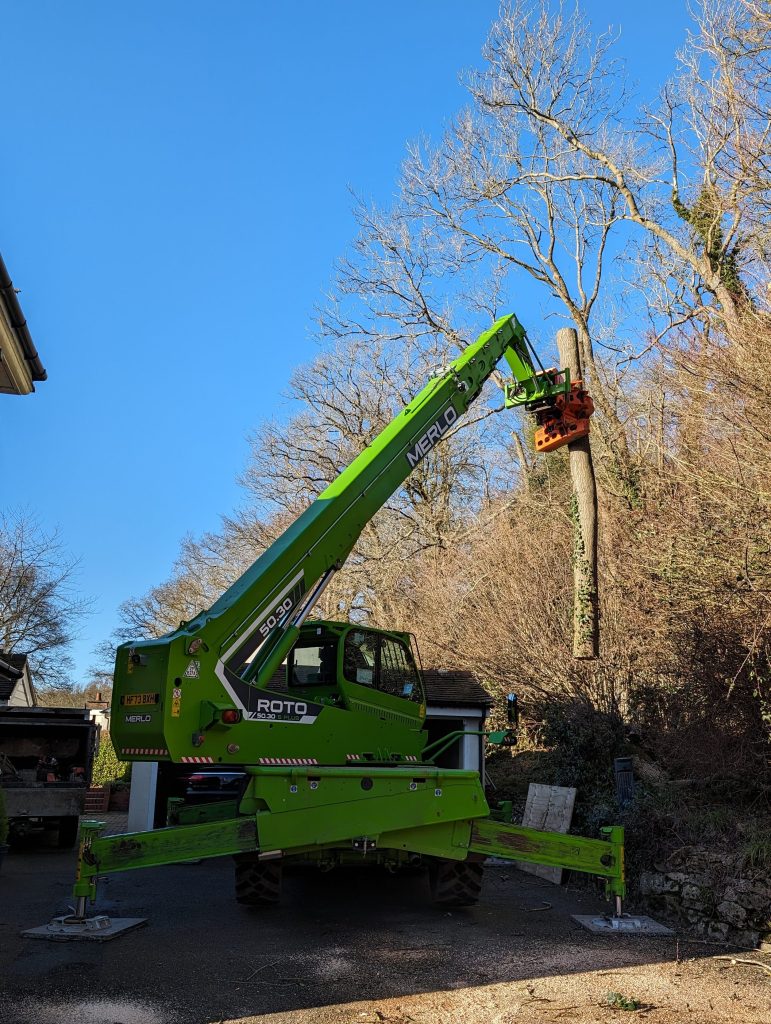 Tree surgery cost in the  uk. Merlo working for tree services in Kent