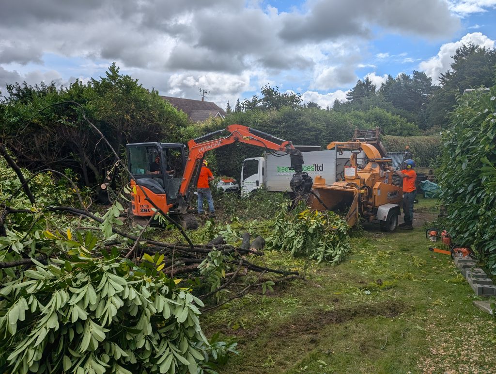 Tree Surgeon in Kent. Clearing and chipping branches