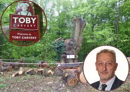 Tree Work in Kent Conservation Areas & TPOs: What Homeowners Need to Know 1 Oak tree illegally felled