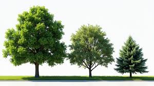How much does Tree Surgery cost in the UK? (2026 Guide) 1