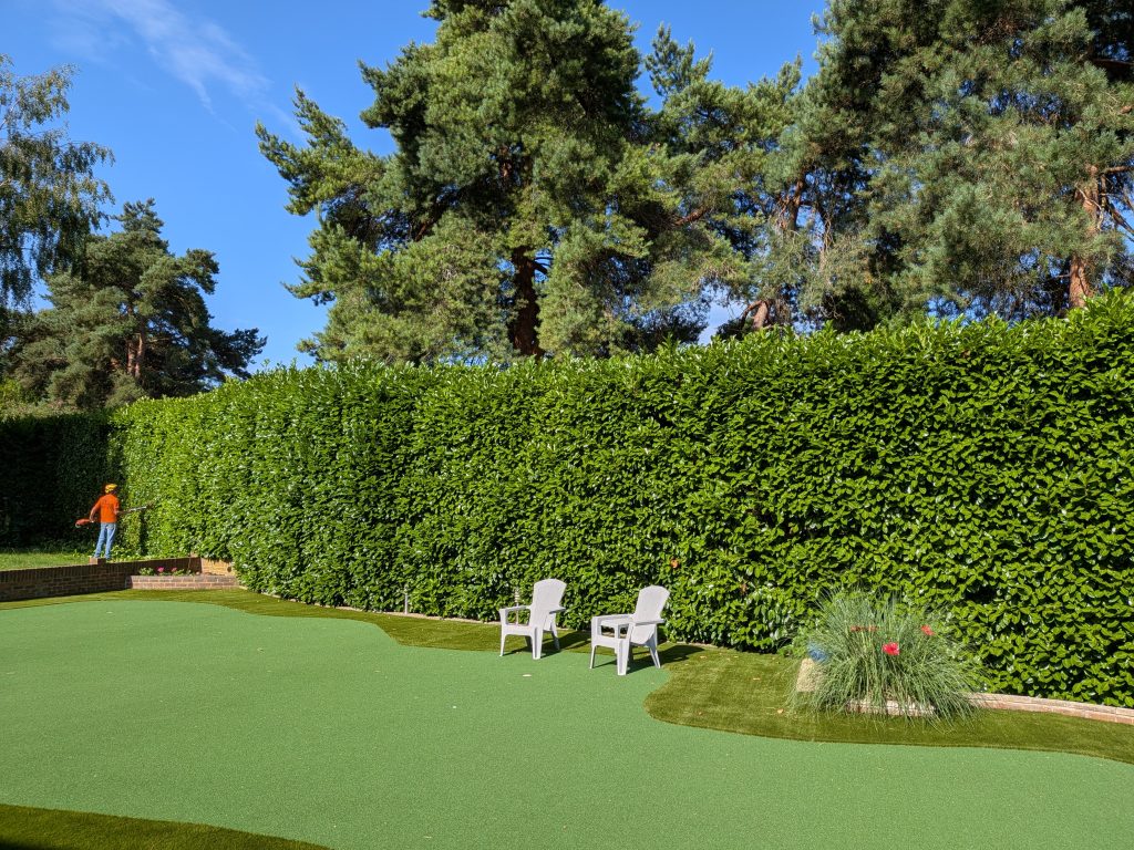 Professional Hedge Trim in Sevenoaks by Tree Services ltd.