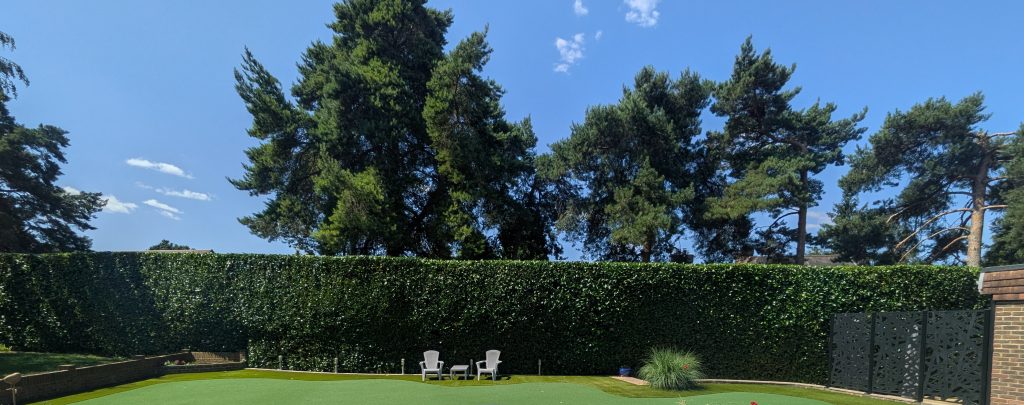 Laurel Hedge Maintenance in Sevenoaks 5
