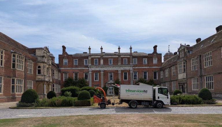 Tree Removal in Kent 11 Tree Services ltd truck ready to start work at cobham hall