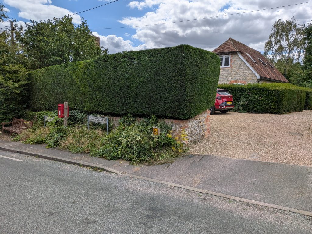 Conifer Hedge Trimming in Plaxtol 2