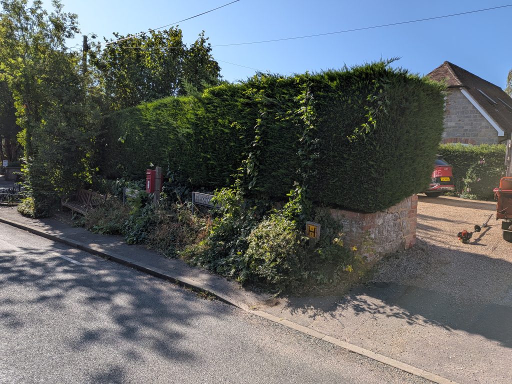Conifer Hedge Trimming in Plaxtol